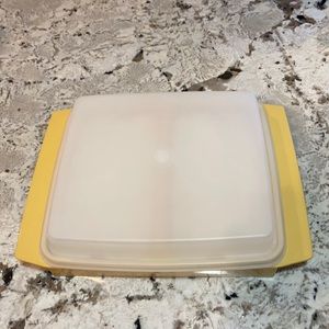 Vintage Tupperware deviled egg Carrier!